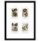 Americanflat 9x11 Mini Instant Photo Collage Picture Frame with 4 Openings for 2.1x3.4 Photos - Double White Mat - Instax Mini Photo Frame - Shatter Resistant Glass - Hanging Hardware with Easel - Black